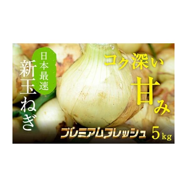 容量浜松篠原産新玉ねぎプレミアムフレッシュ5キロ【無選別品】消費期限※賞味期間：常温3〜5日発送期日2026年1月中旬〜2026年3月下旬配送常温 別送申込期日2026年3月20日まで事業者株式会社クライマワークス申込条件何度も申し込み可、...