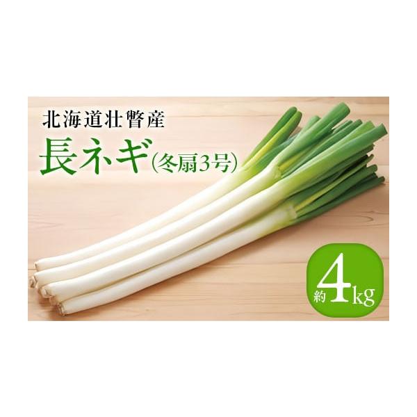 容量長ネギ（冬扇3号）約4kg（約1kg×4束）消費期限※賞味期限：常温7日発送期日2025年12月20日〜2026年2月28日まで配送常温 別送申込期日2026年2月15日まで事業者清水初男農園申込条件何度も申し込み可