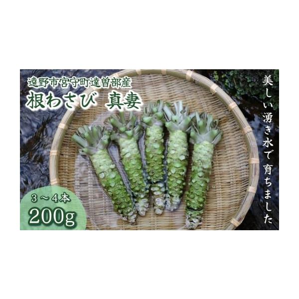 容量遠野宮守産わさび3本〜4本（重さ計200ｇ前後）発送期日入金確認後随時発送配送冷蔵 時間指定 別送申込期日通年事業者葵食品申込条件何度も申し込み可