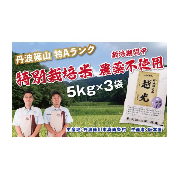 ふるさと納税 米 コシヒカリ 兵庫県 丹波篠山市 〈スピード出荷〉 特A