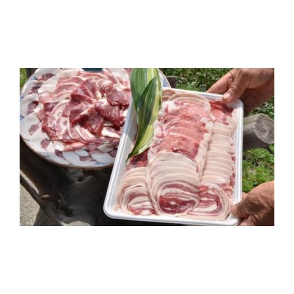 容量猪肉スライスミックス（ロース・ハラミ・モモ）700g発送期日2019年11月〜配送冷凍 別送事業者五色の里申込条件何度も申し込み可