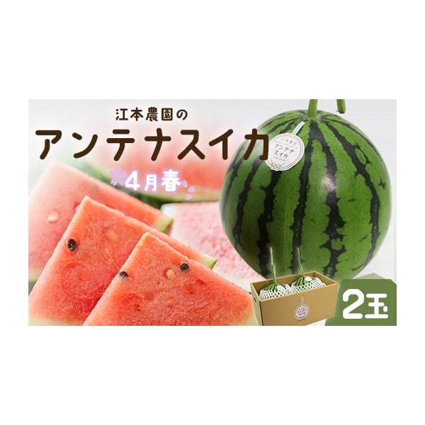 容量■スイカ：赤色果肉2玉（1玉／2.3kg前後）※品種：茜SORA(あかねそら)消費期限到着時に食べ頃スイカをお送りします到着後はお早めにお召し上がりください発送期日4月初旬から5月初旬の配送予定です※収穫数量の都合で日付指定はできません...