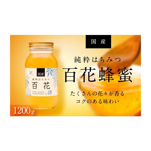 ふるさと納税 加工品等 はちみつ 岐阜県 大野町 養蜂場からお届け 国産