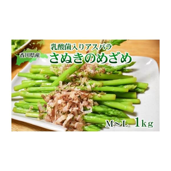 容量アスパラセミロング 太さM〜L 1kg（30cm前後）／東かがわ市発送期日2026年2月中旬〜10月下旬配送冷蔵 別送申込期日2026年9月10日まで事業者はなまる農園申込条件何度も申し込み可