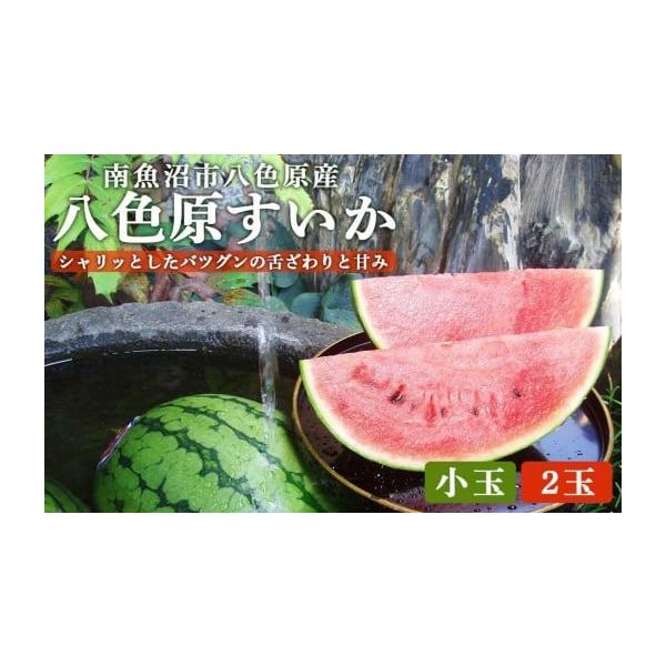 容量２玉 （１玉：約１.２〜２.５ｋｇ）※１玉は重さの選定しております。消費期限５日〜７日　※お早めにお召し上がりください。発送期日2026年7月16日〜2026年8月20日の期間に受付順に順次発送予定。※発送時期は予定になります。収穫の状...