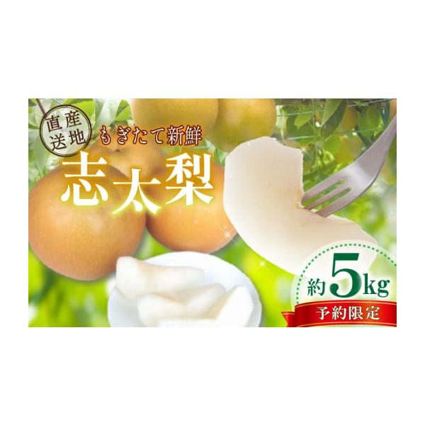 容量梨（静岡県産）約5kg消費期限出荷日から7日間※梨が届きましたらすぐに、１つ１つをビニールや　ラップで包み「冷蔵庫」で保存し、お早めにお召し上がり下さい。乾燥するとシャキシャキした食感がなくなります。発送期日2026年8月初旬より順次出...