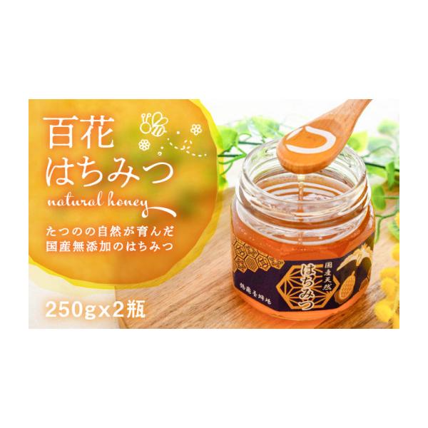 furusatochoice_4774832