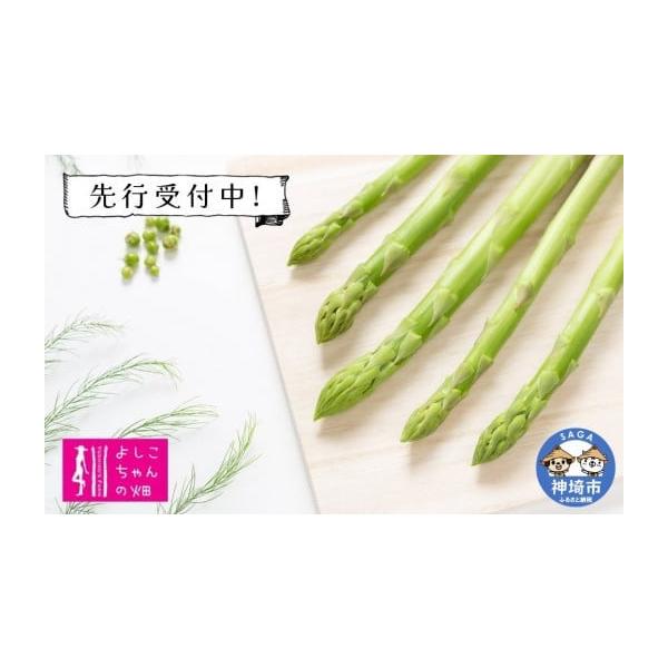 容量アスパラガス1.2kg(混合)消費期限発送日より5日発送期日決済完了順に令和8年3月1日〜令和8年5月31日の期間で発送いたします。※天候等により発送が遅れる場合があります。配送冷蔵 時間指定 別送申込期日令和7年10月8日〜令和8年3...