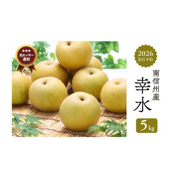 容量【先行予約】2026年発送 約5kg（8〜16玉）※天候の影響で中玉が入ることがあります（大きさで玉数が異なります）。　玉数の指定はお受けできません。消費期限発送日より7日以内を目安に、なるべくお早めにお召し上がりください。発送期日20...