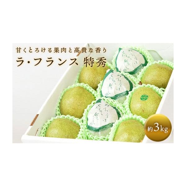 容量ラ・フランス等級：特秀容量：約3kgサイズ：3L (10玉) 〜 6L (7玉)※申し訳ございませんがサイズおよび玉数は選べませんので予めご了承ください。消費期限追熟後は、お早めにお召し上がりください。発送期日令和7年11月上旬頃〜令和...