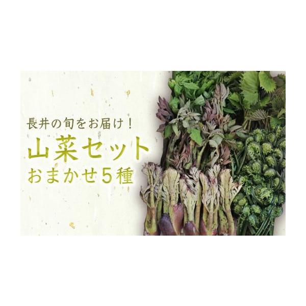 容量700g以上消費期限発送日から3日程度発送期日2026年04月下旬頃から05月中旬頃にかけて、寄付受付順に発送配送冷蔵 時間指定 別送申込期日2026年05月10日頃まで事業者長井中央青果申込条件何度も申し込み可