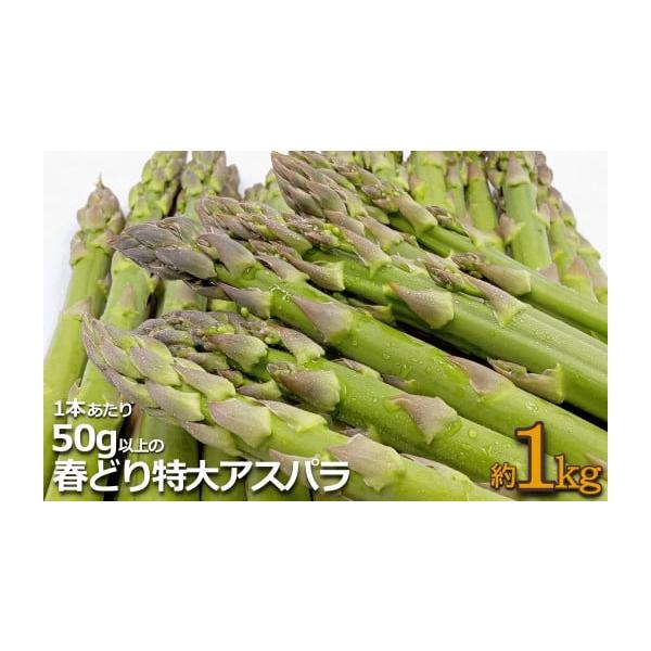 容量1本50g以上・約1kg消費期限発送日から5日程度発送期日2026年04月下旬頃〜05月下旬頃にかけて、寄付受付順に発送配送冷蔵 時間指定 別送申込期日2026年05月20日頃まで事業者長井中央青果申込条件何度も申し込み可