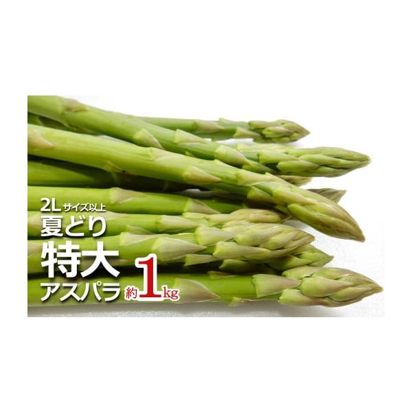 容量2Lサイズ以上・約1kg消費期限発送日から5日程度発送期日2026年07月中旬頃〜08月下旬にかけて、寄付受付順に発送配送冷蔵 時間指定 別送申込期日2026年08月20日頃まで事業者長井中央青果申込条件何度も申し込み可