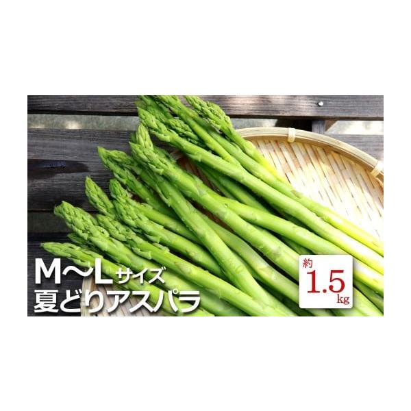 容量M〜Lサイズ・約1.5kg消費期限発送日から5日程度発送期日2026年07月中旬頃〜08月下旬にかけて、寄付受付順に発送配送冷蔵 時間指定 別送申込期日2026年08月20日頃まで事業者長井中央青果申込条件何度も申し込み可