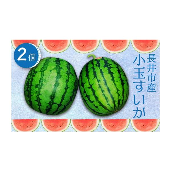 容量約1.5〜3kg×2玉消費期限発送日から1週間程度発送期日2026年07月中旬頃〜08月中旬頃にかけて、寄付受付順に発送配送常温 時間指定 別送申込期日2026年08月10日頃まで事業者長井中央青果申込条件何度も申し込み可
