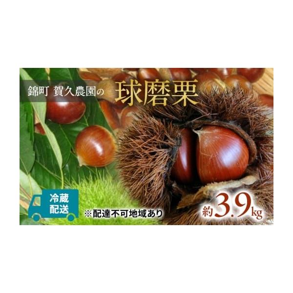 容量球磨栗 約3.9kg発送期日2026年9月上旬〜11月上旬配送冷蔵 別送申込期日2026年10月15日まで事業者賀久農園申込条件何度も申し込み可