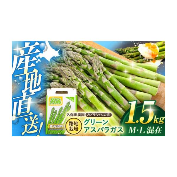 容量 グリーンアスパラガス 1.5kg（M・L混在）【サイズの目安】※画像はMサイズを使用しています。＜長さ＞約24cm＜重さ＞Mサイズ：約13〜20g／本、Lサイズ：約21〜31g／本【原料原産地】喜茂別町消費期限到着後は、お早めにお召し...