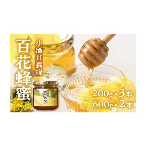 ふるさと納税 加工品等 はちみつ 岐阜県 郡上市 百花蜂蜜 200g×3本