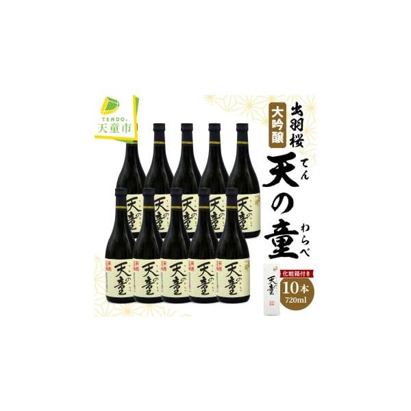 ふるさと納税 日本酒 大吟醸酒 山形県 天童市 08-17-032 出羽桜