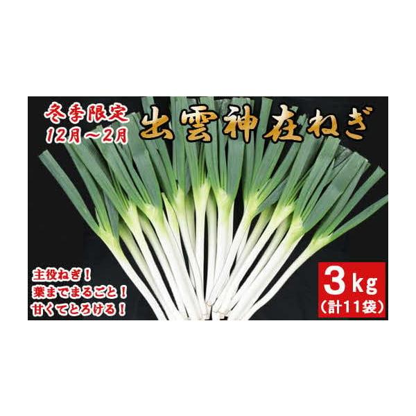 容量・神在ねぎ（2〜3本入り）8袋　　1袋当たり330ｇ見当　・神在ねぎ（1本入り）3袋　　1本200gを超える太物を厳選しています。計11袋　約3kg※袋に入っているので、お友達にシェアしたり、贈り物にも最適です。消費期限賞味期限：冷蔵保...