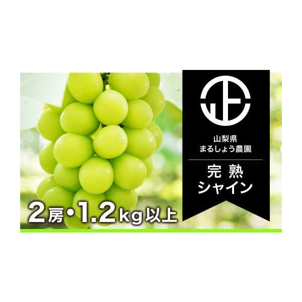 ふるさと納税 山梨県 笛吹市 ＜2024年先行予約＞【完熟】 シャインマスカット 2房 1.2kg以...
