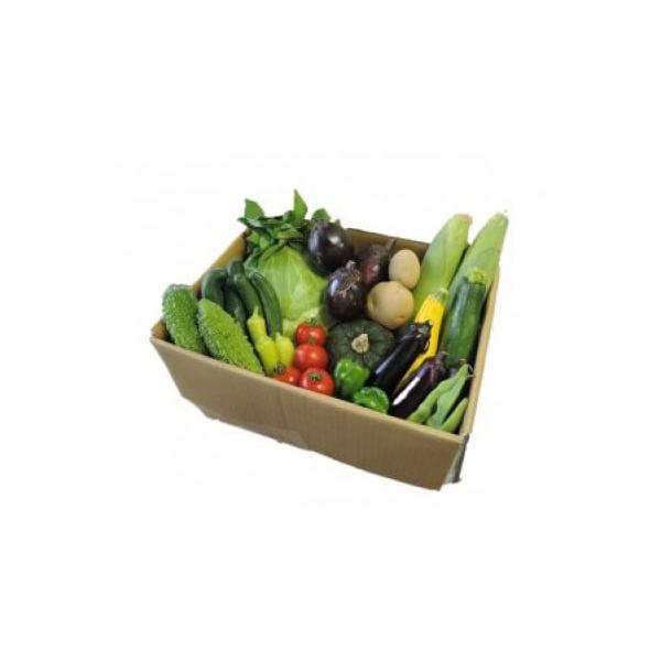 容量季節の野菜詰合せ×1消費期限到着後お早目にお召し上がりください。発送期日準備でき次第、順次発送配送常温 別送事業者大和　商品配送センター申込条件何度も申し込み可、オンライン決済限定