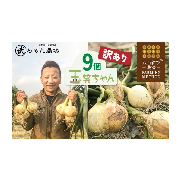 容量9個（約3kg）消費期限発送日から7日〜10日発送期日2026年4月から5月に発送※期間中のお申込みは、決済から3週間程度で発送【碧南市からの発送に関するお知らせ】・寄附申込み後のキャンセル、返礼品の変更・返品はできません。・ご不在日や...