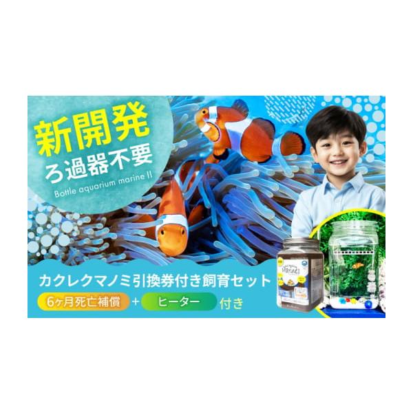 最終値下！10月まで！水槽セット(カクレクマノミいます) 最終値下！10月まで！水槽セット(カクレクマノミいます)