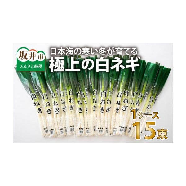 容量白ネギ1ケース（15束）約5kg※生育の状況により、下記どちらかの容量でお届けいたします。・L（3本入り）× 15束　合計45本・2L（2本入り）× 15束　合計30本消費期限発送日より7日以内発送期日決済から7日前後で発送※長期ご不在...