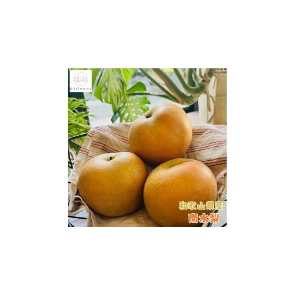 容量約２ｋｇ（６玉前後入り）消費期限１週間発送期日2026年9月中旬から2026年10月上旬ごろ順次発送予定※生育状況によりお届け時期が多少前後する場合がございます。配送常温 時間指定 別送申込期日2026年9月30日まで（予定）事業者株式...