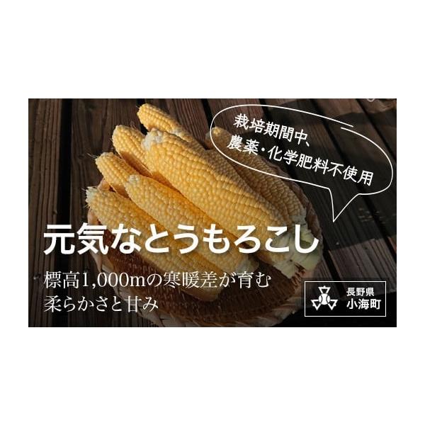容量15本発送期日8月から順次発送予定配送冷蔵 別送申込期日7月末まで申込条件何度も申し込み可