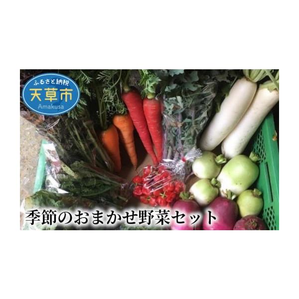 容量季節に応じてできる野菜８〜１０品の詰合せ（４人家族向け・重量は野菜の種類によって変化）消費期限賞味期限：到着後10日間発送期日ご寄附の入金を確認後、原則として30日以内に発送します。ただし、人気のお礼品などは、発送までに1〜3ヶ月程度お...