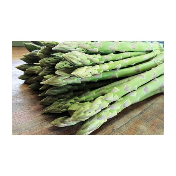 容量アスパラ1kg（2L）発送期日2026年3月中旬〜8月下旬配送冷蔵 別送申込期日2026年9月10日まで事業者SWAN農事組合法人申込条件何度も申し込み可