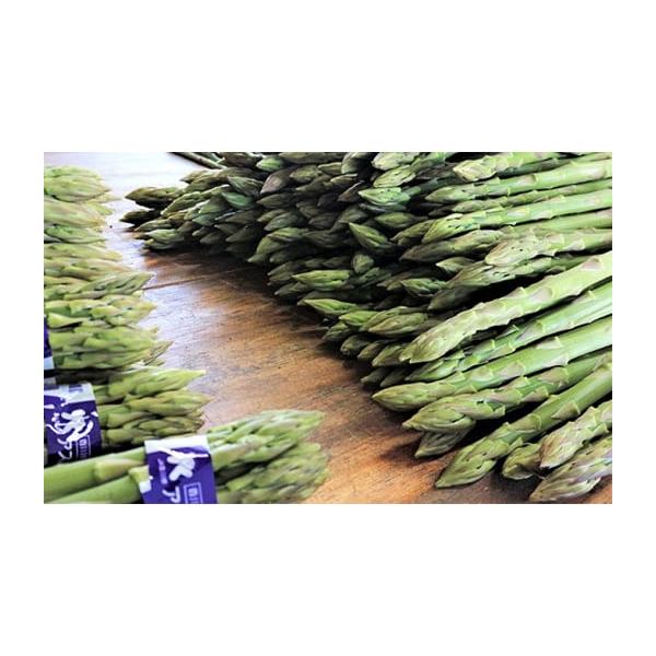 容量アスパラ1kg（L）発送期日2026年3月中旬〜9月下旬配送冷蔵 別送申込期日2026年9月10日まで事業者SWAN農事組合法人申込条件何度も申し込み可