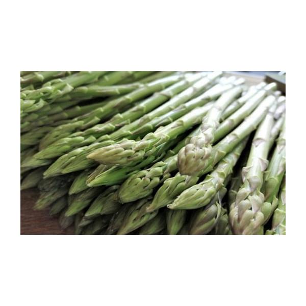 容量訳ありアスパラ1kg（M〜L）発送期日2026年3月中旬〜9月下旬配送冷蔵 別送申込期日2026年9月10日まで事業者SWAN農事組合法人申込条件何度も申し込み可