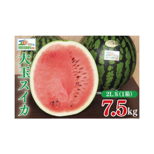 容量茨城県産大玉スイカ1玉（2Lサイズ）消費期限発送到着から1週間程度※食べごろを見計らって発送いたしますので、到着後はなるべく早めに召し上がってください。発送期日2026年6月上旬〜7月下旬頃にお届け※上記期間以外での配送は致しかねますの...