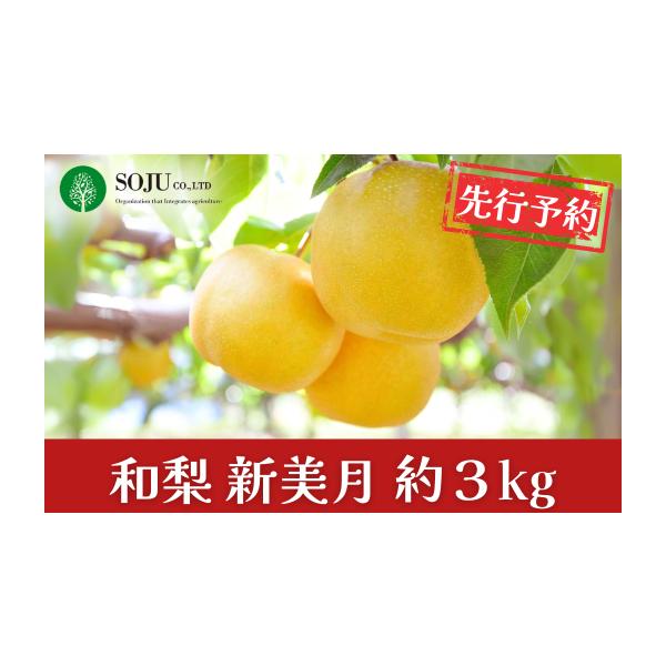 容量6~11個（合計約3kg）※生育状況により、個数が前後する場合がございます。消費期限常温、もしくは冷蔵で5日間発送期日9月中旬〜10月上旬頃※天候や生育状況により、発送開始・終了時期が前後する場合がございます。※お申込み順に発送いたしま...