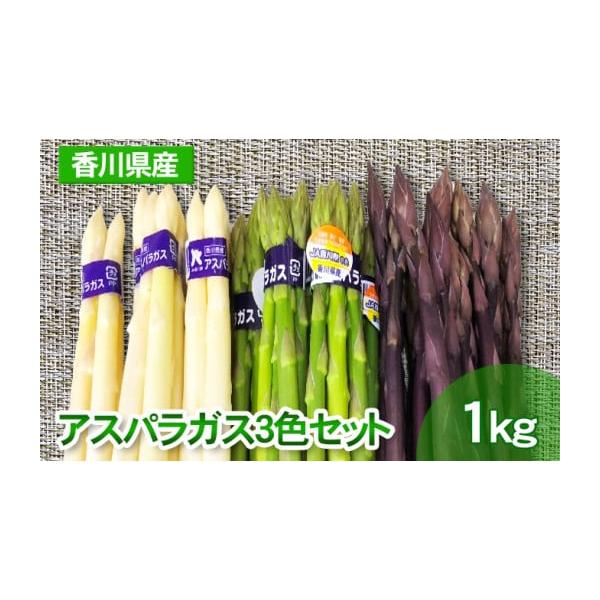 容量グリーンアスパラ500gホワイトアスパラ300gパープルアスパラ200g計1kg消費期限冷蔵7日発送期日2026年3月15日〜7月10日配送冷蔵 別送申込期日2026年6月20日まで事業者株式会社五色青果　東かがわ営業所申込条件何度も申...