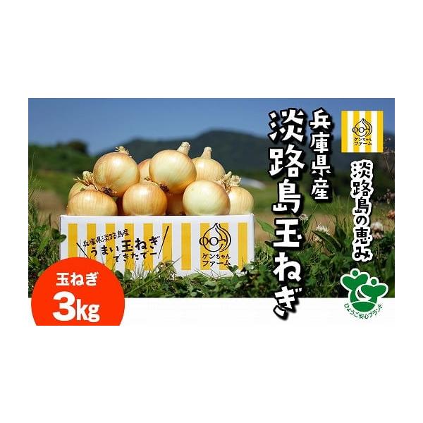 容量玉ねぎ3kg【個数】約8~10玉前後【サイズ】M〜２L混合【重量】箱の重さ込み（配送業者の重量規程による）　消費期限気温の変化・高温・多湿を避けて風通しの良い日陰での保存か冷蔵での保存をお願いします。湿気に弱い為新聞紙やキッチンペーパー...