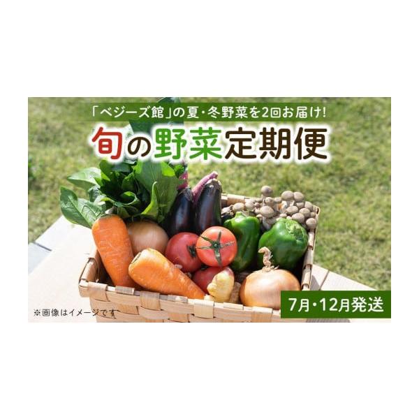容量分量はお任せください。高さ24×横44×幅30の箱の中に野菜を緩衝材に包んでお届けします。夏野菜8品程度、冬野菜６品程度7月発送：（夏野菜詰め合わせ（例）トマト、きゅうり、かぼちゃ、インゲン豆、ピーマン、ズッキーニ、ニンジン、じゃがいも...