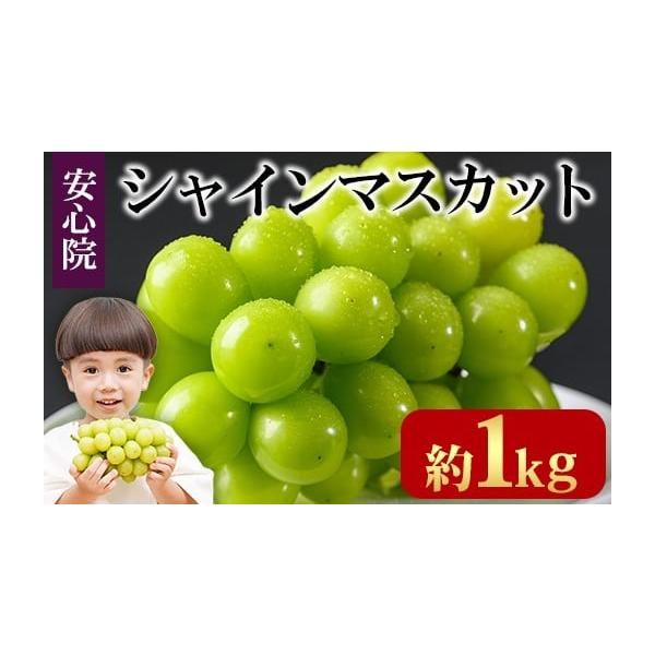容量シャインマスカット：1kg(2房)宇佐市内で生産しております。消費期限生鮮品のためお早目にお召し上がりください。発送期日2026年8月下旬から受付順に発送いたします配送冷蔵 時間指定 別送申込期日〜 2026／9／30 23:59事業者...