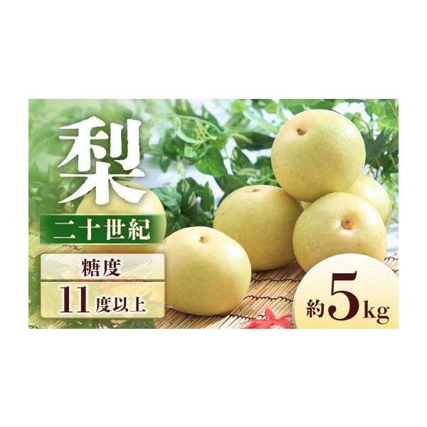 容量＜2026年に発送する予約注文分です＞内容量：約5kg(8〜16玉)※大きさで玉数は異なります。発送期日2026年9月上旬〜9月中旬予定※その年の気候により配送時期に変動がある可能性がございます。配送常温 時間指定 別送申込期日＜202...