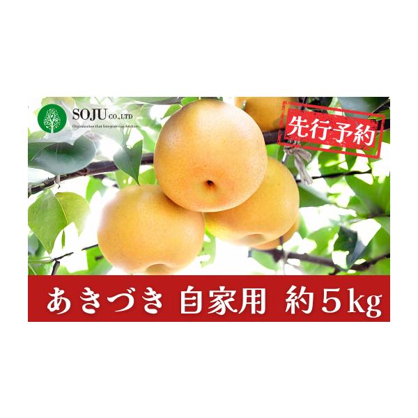 ふるさと納税 梨 新潟県 三条市 先行予約 和梨 あきづき 自家用 約5kg 令和8年度 新潟フルーツ 新潟県産 梨 三条果樹専門家集団 010P063