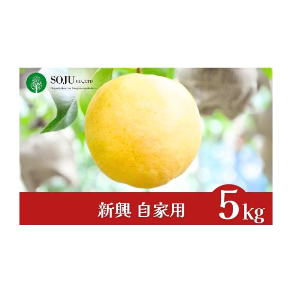 容量6〜14個（合計約5kg）消費期限発送日から1〜2週間程度発送期日申込完了から1〜2週間程度※天候や生育状況によって、お届け時期が前後する場合がございます。配送常温 時間指定 別送申込期日※数量限定のため、予定数量に達し次第受付終了事業...