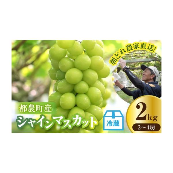 ふるさと納税 ぶどう マスカット 宮崎県 都農町 都農町産シャインマスカット(計2kg) ぶどう 果物 国産_T010-0015