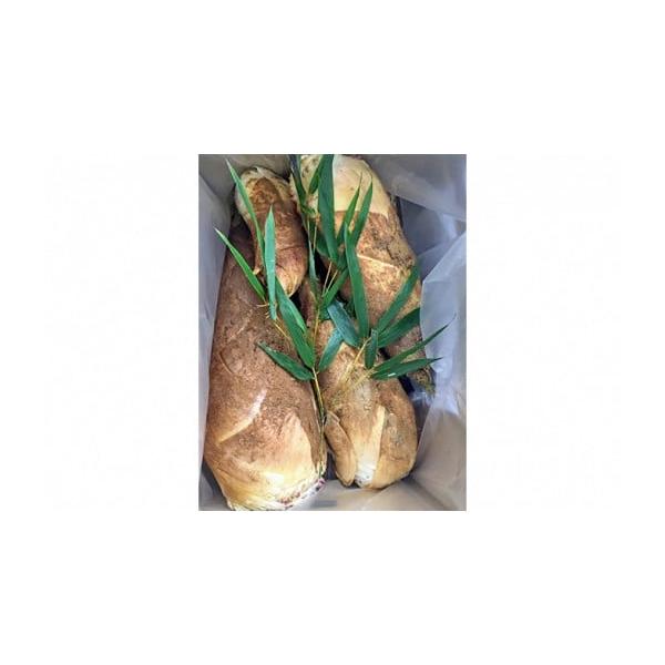 容量京都 向日市 物集女産たけのこ4kg発送期日2026年3月25日〜2025年4月25日配送常温 別送申込期日2026年3月10日まで事業者山忠申込条件何度も申し込み可