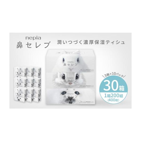 ふるさと納税 雑貨・日用品 愛知県 春日井市 選べる回数 ネピア鼻