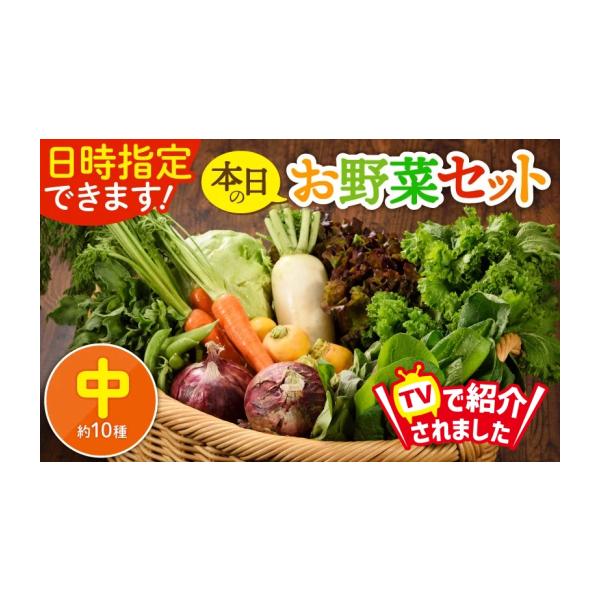 容量お野菜セット（サイズ中）約10種消費期限なるべくお早めにお召し上がりください発送期日発送まで1〜6か月程度お待ちいただいております。※12／31〜1／5にかけての発送は出来かねます。配送冷蔵 日指定 時間指定 別送申込期日通年事業者綾手...