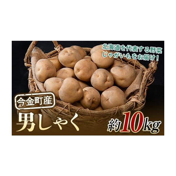 容量約10kg（Mサイズ）消費期限生鮮食品ですのでお早めにお召し上がりください発送期日2026年10月21日〜2027年3月20日配送常温 時間指定 別送申込期日2027年2月20日まで事業者有限会社 丸エ 蝦名商店申込条件何度も申し込み可