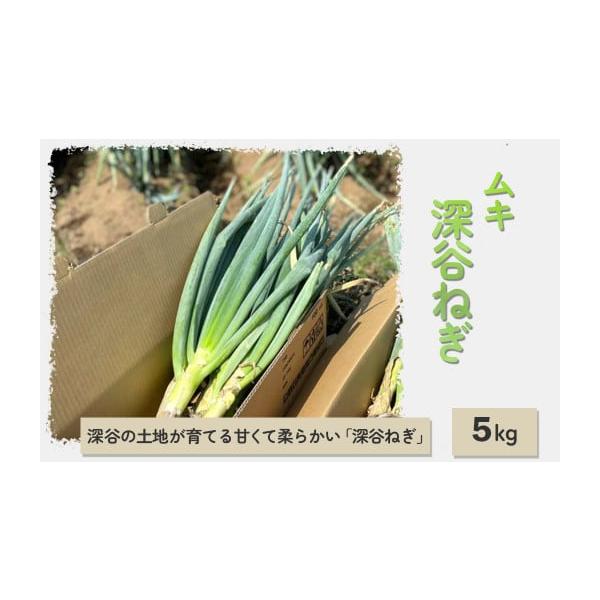 容量深谷ねぎ（ムキ）：5kg × 1箱消費期限生鮮食品のため、冷暗所で保管の上、お早めにお召し上がりください。発送期日★発送期日：2025年11月中旬〜2026年4月中旬※発送日は火曜・木曜日のみとなります。配送常温 時間指定 別送申込期日...